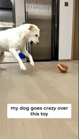 Pet Smart Cat Toy Electric Automatic Plush Bouncing Toys Interactive Toys Self-moving Kitten Toys for Indoor Playing