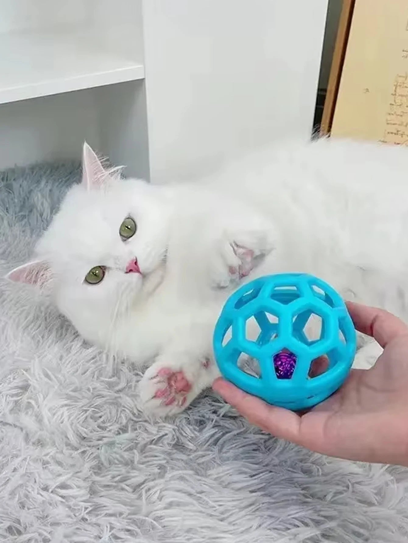 2 Pet Dog Toys: Bite-Resistant Bell Ball & Tri-Color Molar Ring, Soft Rubber for Teeth Grinding & Chewing