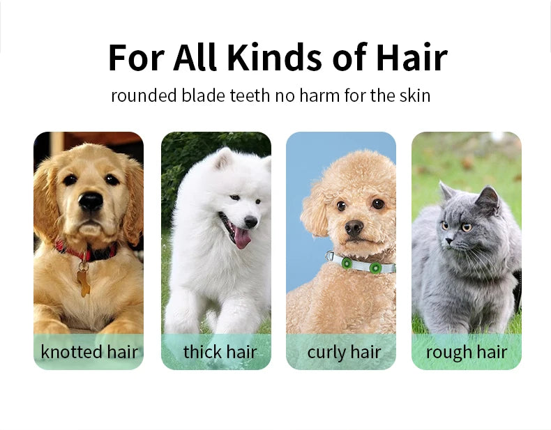 Pet grooming hospital for cats and dogs, low-noise electric push shear, electric waterproof, professional wireless shaving