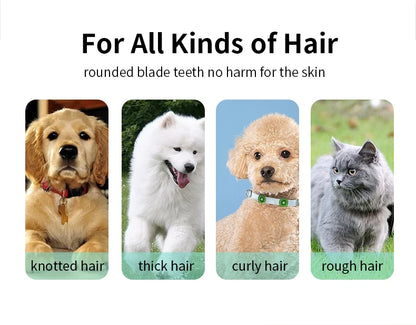 Pet grooming hospital for cats and dogs, low-noise electric push shear, electric waterproof, professional wireless shaving