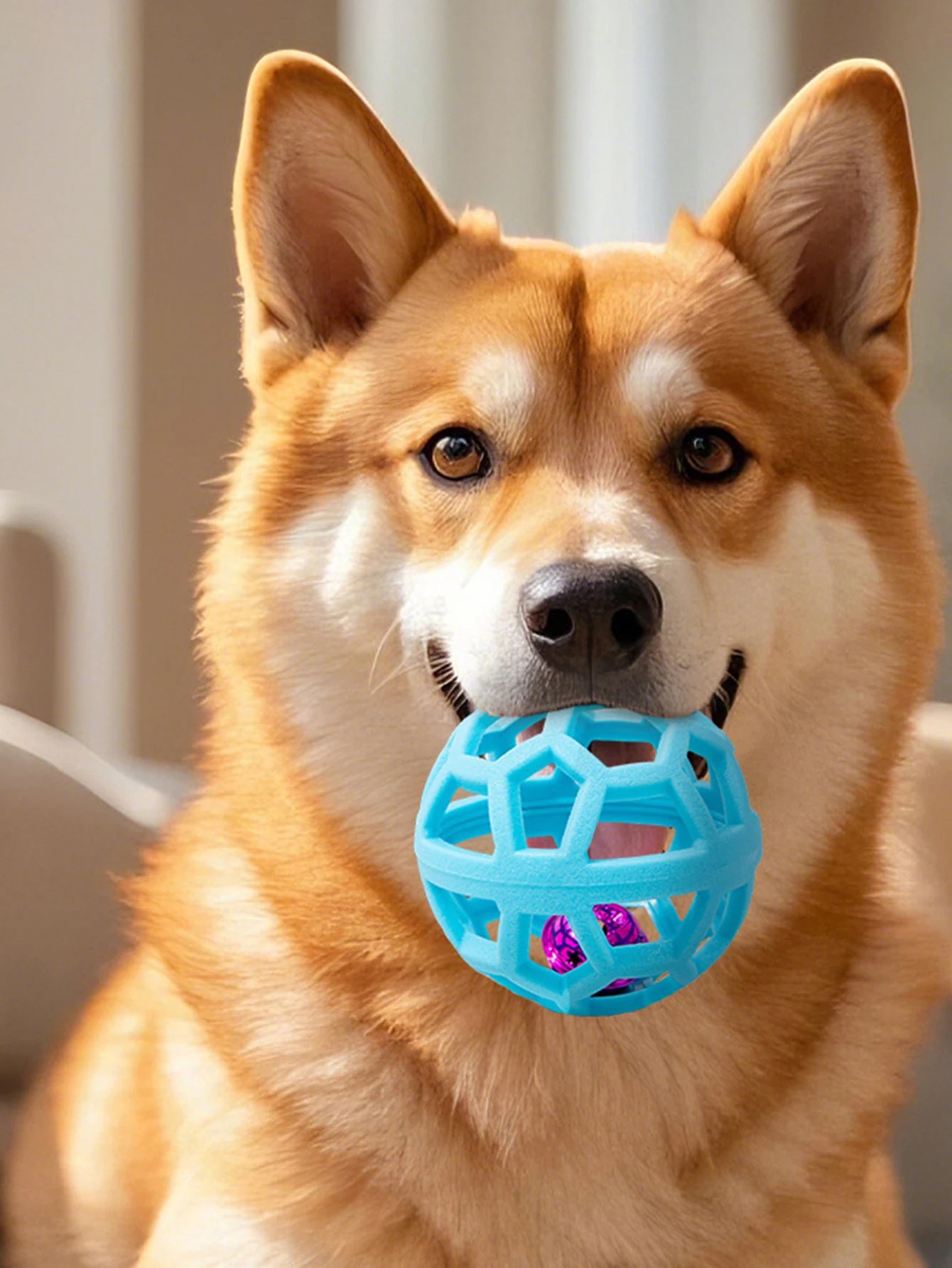 2 Pet Dog Toys: Bite-Resistant Bell Ball & Tri-Color Molar Ring, Soft Rubber for Teeth Grinding & Chewing
