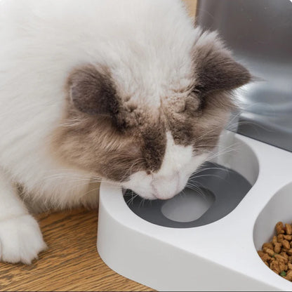 Cat cat bowl small dog double bowl automatic feeder dog bowl automatic drinking water pet supplies