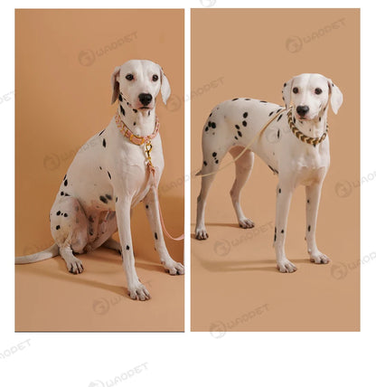 Pet Supplies Handmade Dog Collar Fashion Colorful Design Cat Neck Ring For Outdoor Walking Dog Collar High-End Adjustable Collar