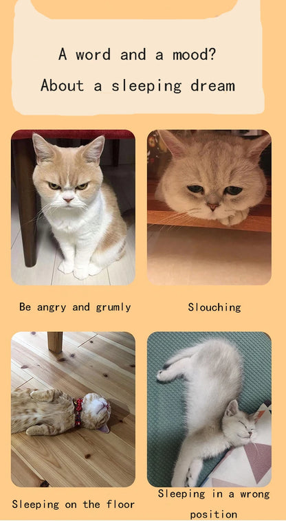 Cat Bed Wooden Cat And Dog Bed With Teddy Bear Pattern Indoor Pet Furniture Floor To Ceiling Bed(20*11inch)Comfortable Durable