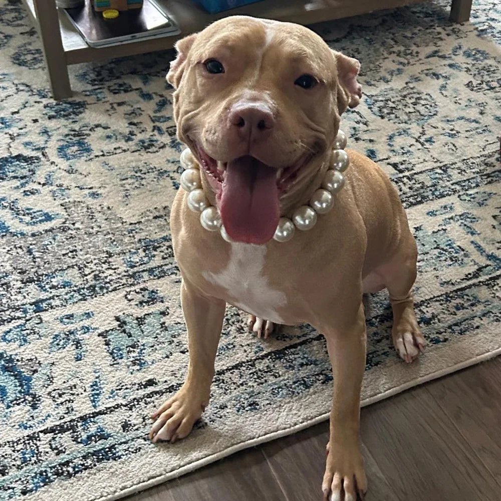 Dog Pearl Collars for Large Dogs Cats Pet Necklace Jewelry Chihuahua Yorkie Girl Clothing Dress Costume Accessories Wire Rope