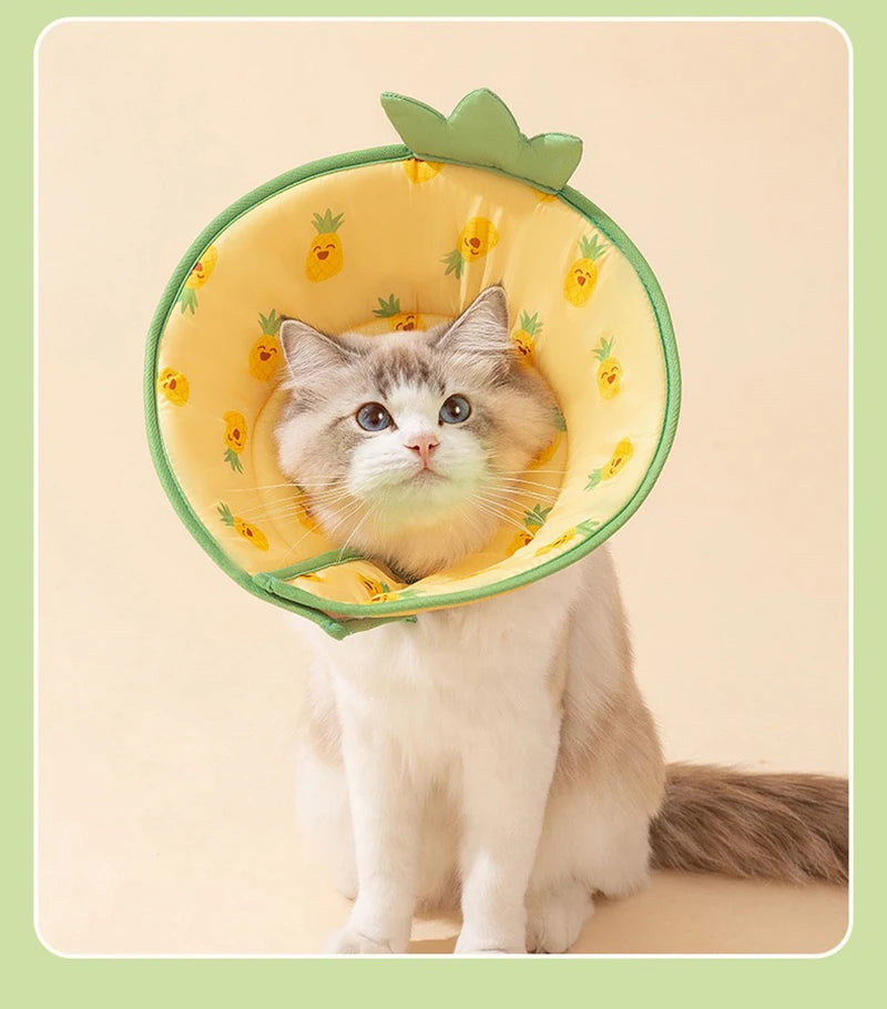 Animal Pet Elizabethan Collar Cat Postoperative Collar for Small Dogs Lick and Bite Protection Headgear Puppy Neck Accessories
