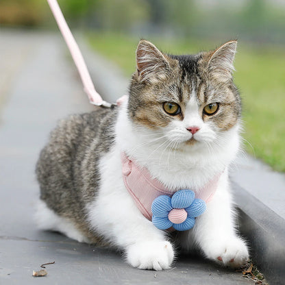 Cat Harness and Leash Sets Adjustable Dog Harness for Small Dog Leash Breashable Pet Harness Out Walking Dog Strap