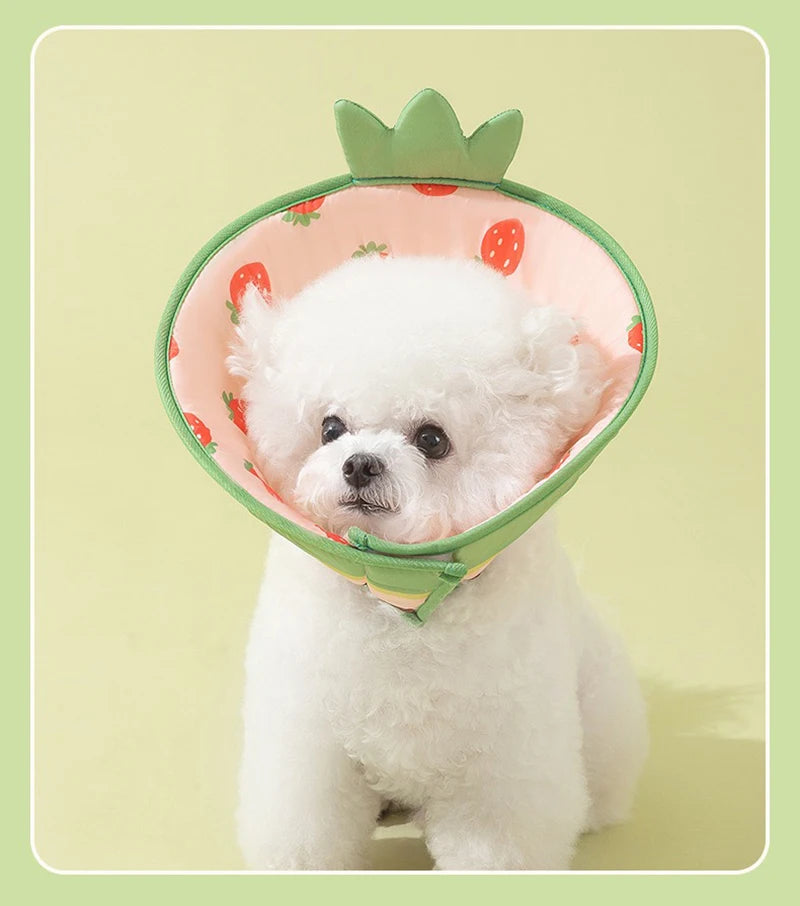 Animal Pet Elizabethan Collar Cat Postoperative Collar for Small Dogs Lick and Bite Protection Headgear Puppy Neck Accessories