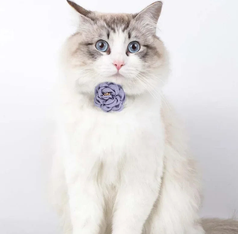 Pet Collar Cute Bow Durable Cat Collars Adjustable Kitten Necklace Tie Cat Puppy Collar Flower Safety Button Pet Gift Supplies