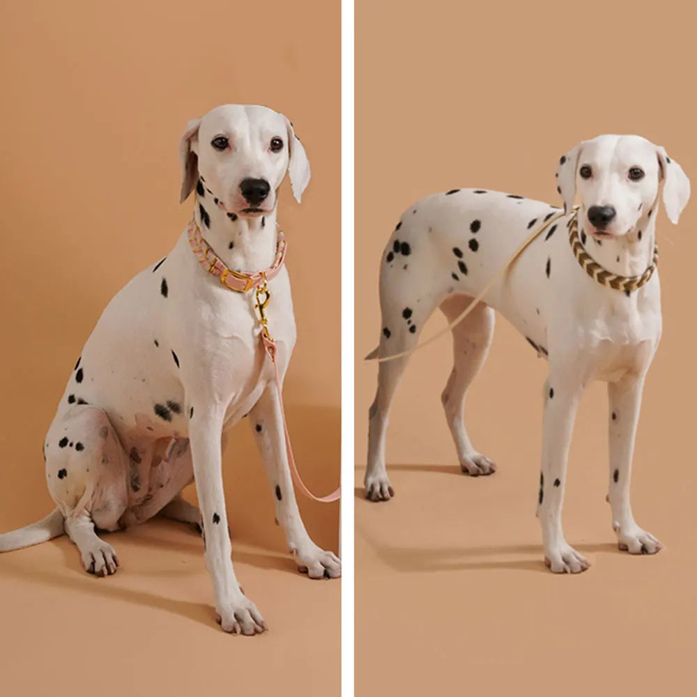 Pet Supplies Handmade Dog Collar Fashion Colorful Design Cat Neck Ring For Outdoor Walking Dog Collar High-End Adjustable Collar