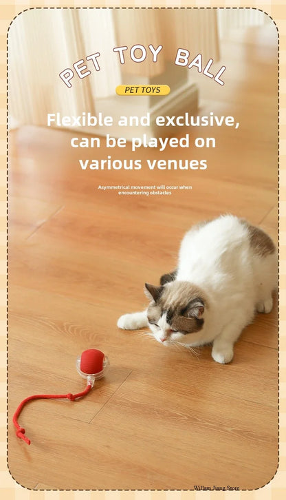 Interactive Dog Toys Rechargeable Pet Interactive Toys Electric Cats Ball  Automatic Rolling Fake Tail Ball Dog  Cats Toy