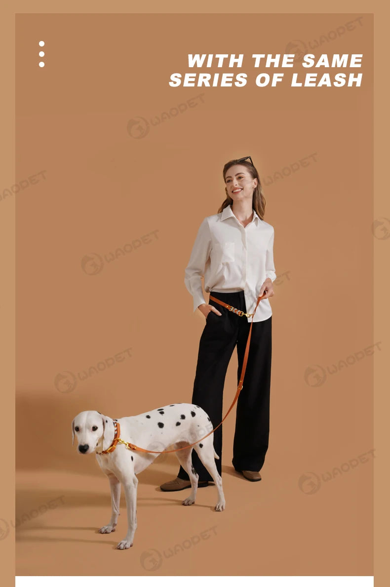 Pet Supplies Handmade Dog Collar Fashion Colorful Design Cat Neck Ring For Outdoor Walking Dog Collar High-End Adjustable Collar