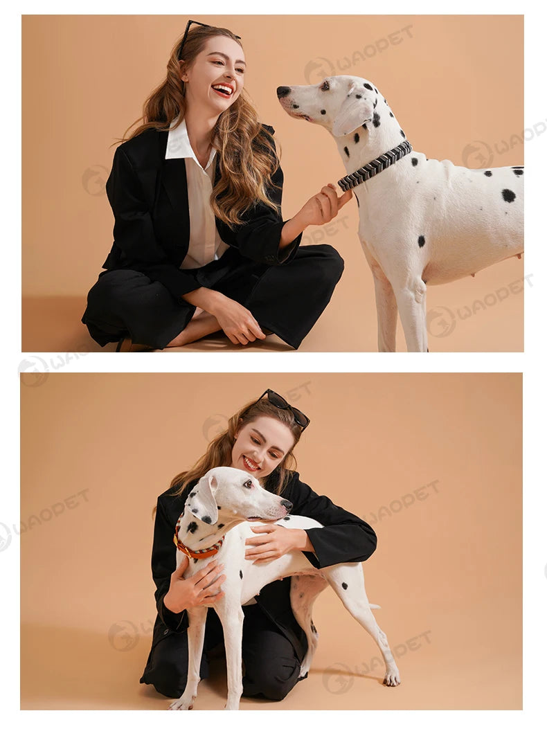 Pet Supplies Handmade Dog Collar Fashion Colorful Design Cat Neck Ring For Outdoor Walking Dog Collar High-End Adjustable Collar