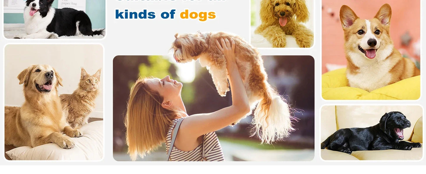 Dog Grooming Kit for Pet Include 4 Hair Clipper Combs 2.5L Vacuum Cleaner and 5 Pet Grooming Tools for Shedding